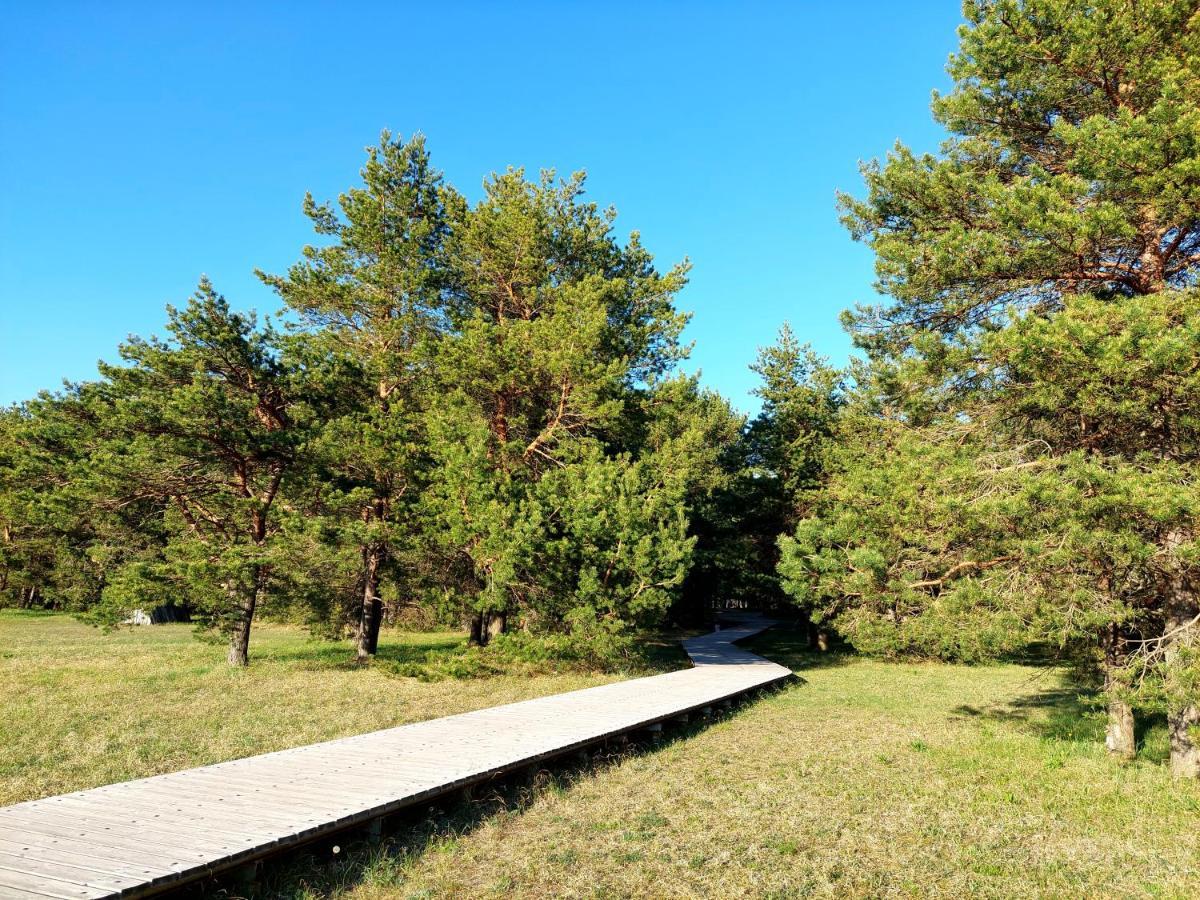 Juras Dzintars Villa Ainaži Buitenkant foto